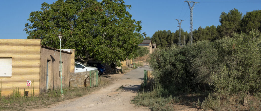 Campjulia01-1